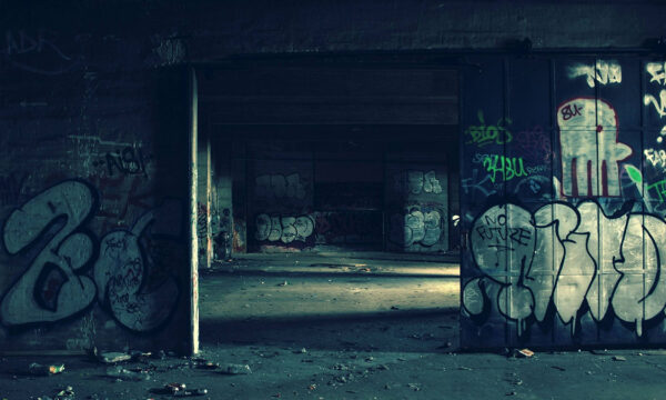 when humans disappear