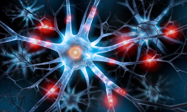 synchronized chaos: why your brain isn’t anything like a computer