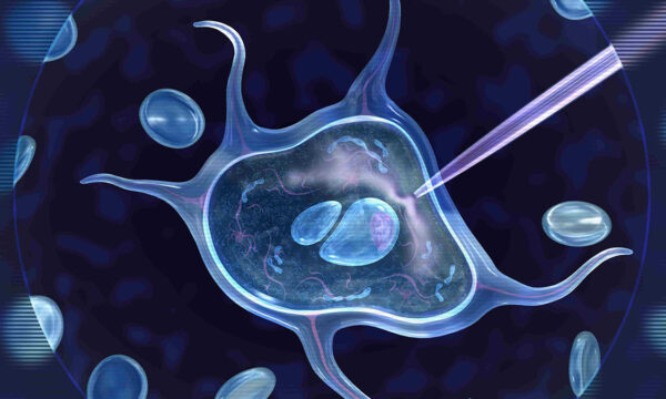 immortality sells and apparently so do aliens