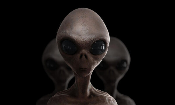 when creationism comes from an unlikely source