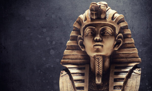king tut gives us a peek at a royal family