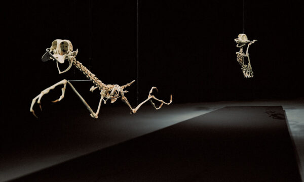 when childhood dreams go horribly wrong…