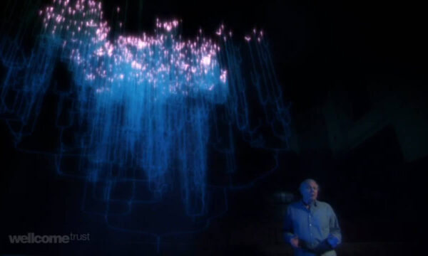 a brief history of evolution