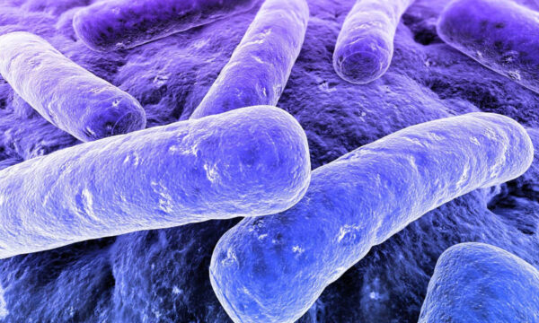 our war on microbes may be giving us cancer