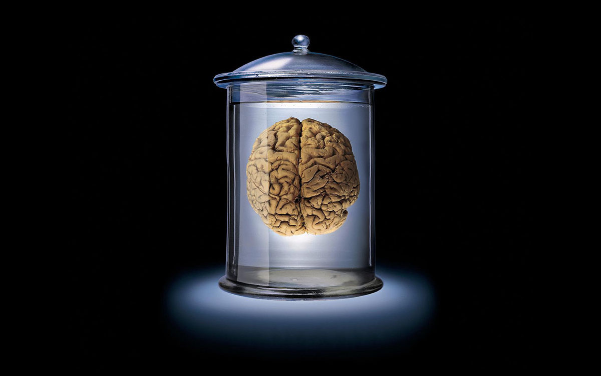 brain in a jar