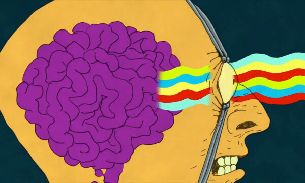 when the real world just isn’t enough…