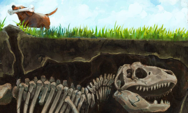 evolution: a case of bad marketing?