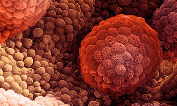 evolution’s time bomb