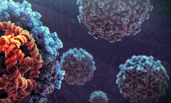 viruses that fight cancer, coming to an oncologist near you