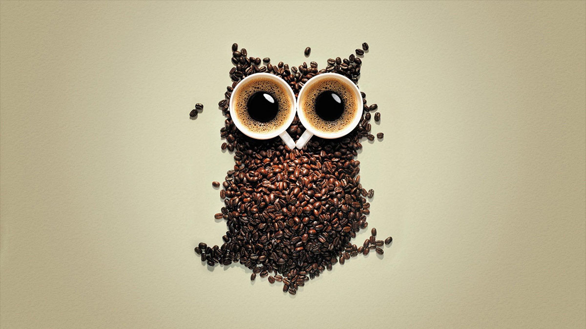 coffee owl