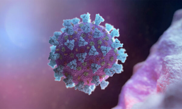 why politicizing coronavirus will only make you sick or kill you