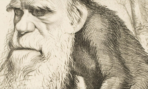 the creationist quest to slime darwin