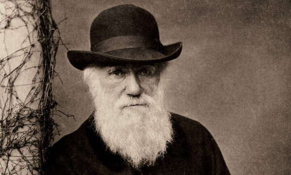 crashing darwin’s birthday