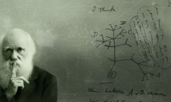 starting a controversy for controversy’s sake