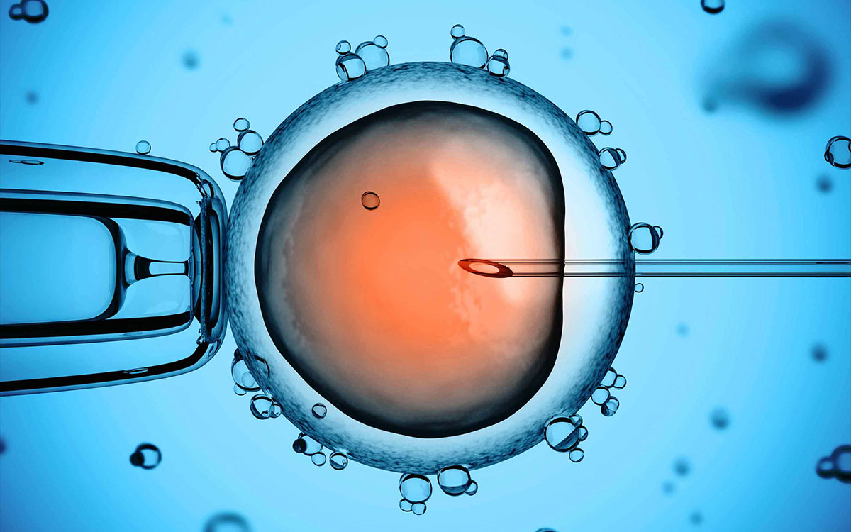 designing embryo