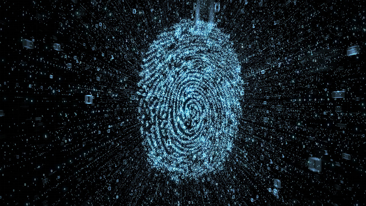 digital forensic fingerprint
