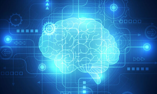 yet another spawn of quantum consciousness