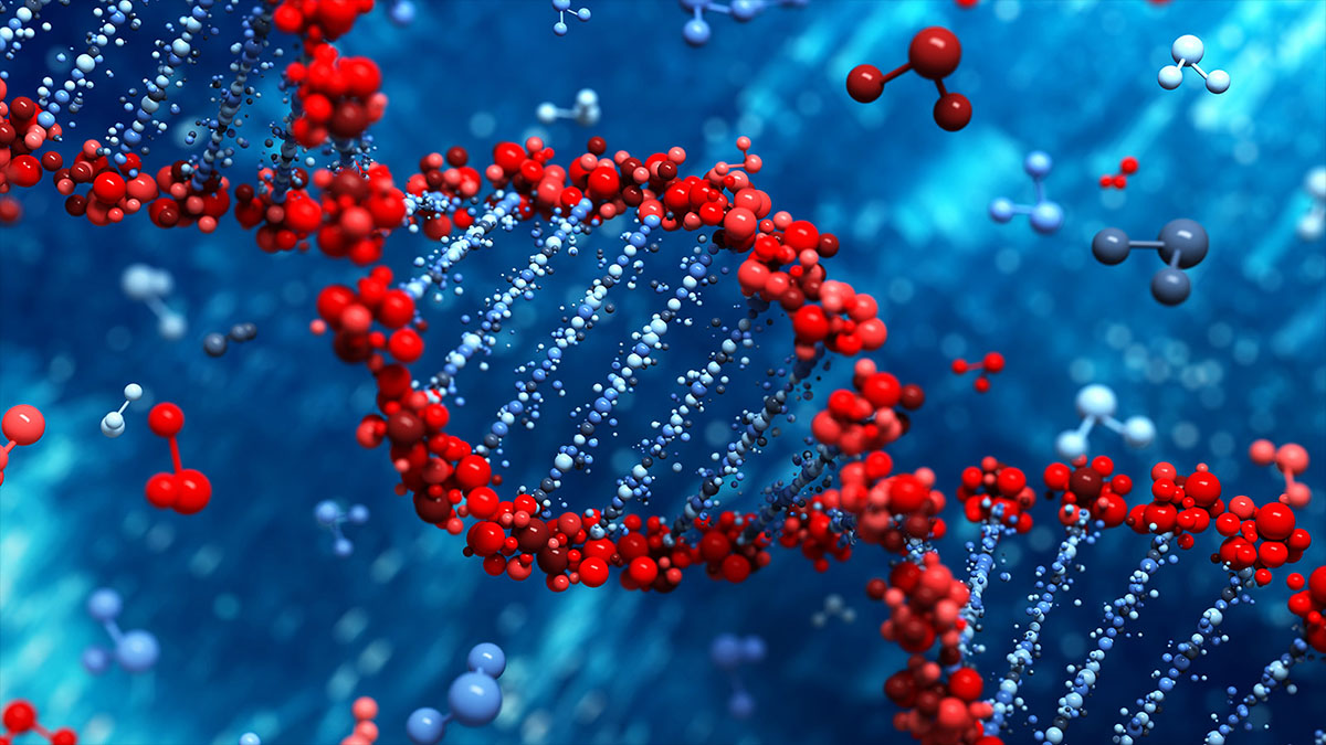 digitized dna molecules