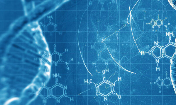 a designer’s questions about intelligent design