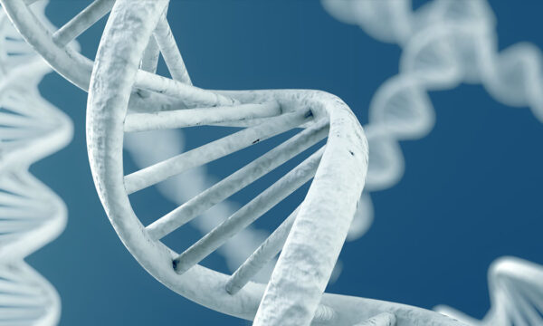 does this chromosome come in a bigger size?