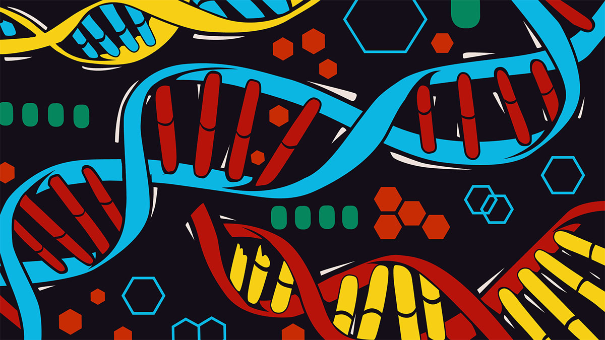 dna strands