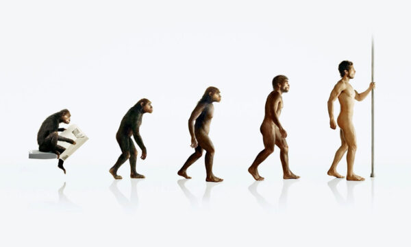 discovery institute caught daydreaming