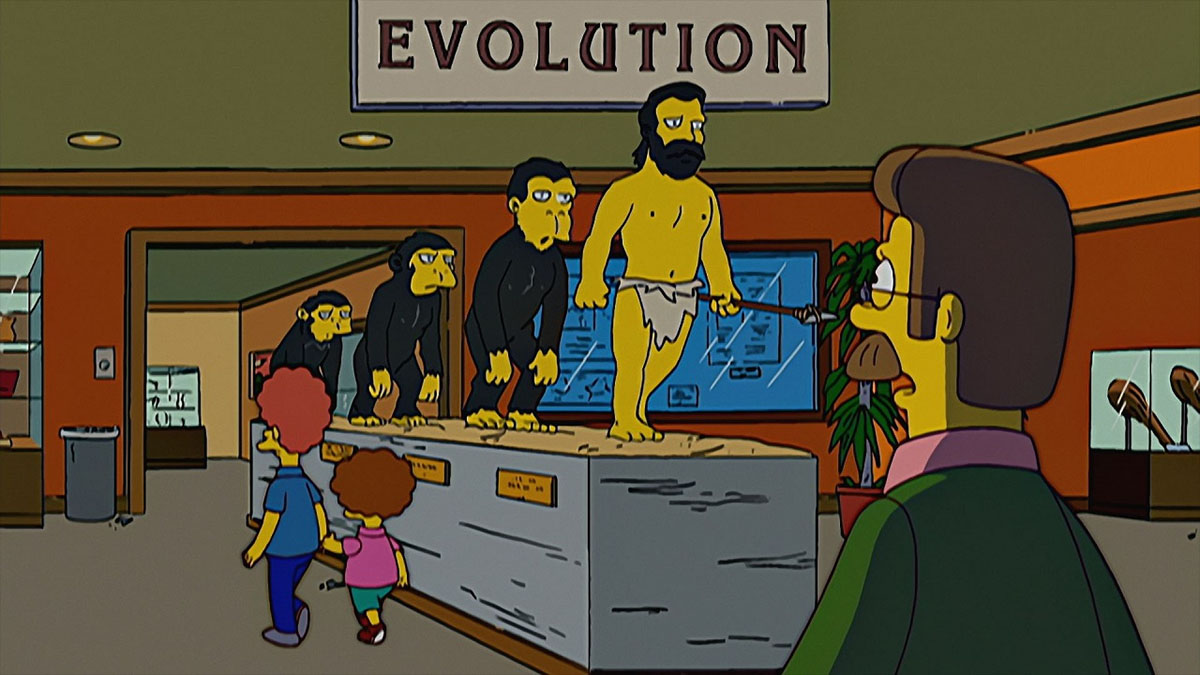 flanders evolution