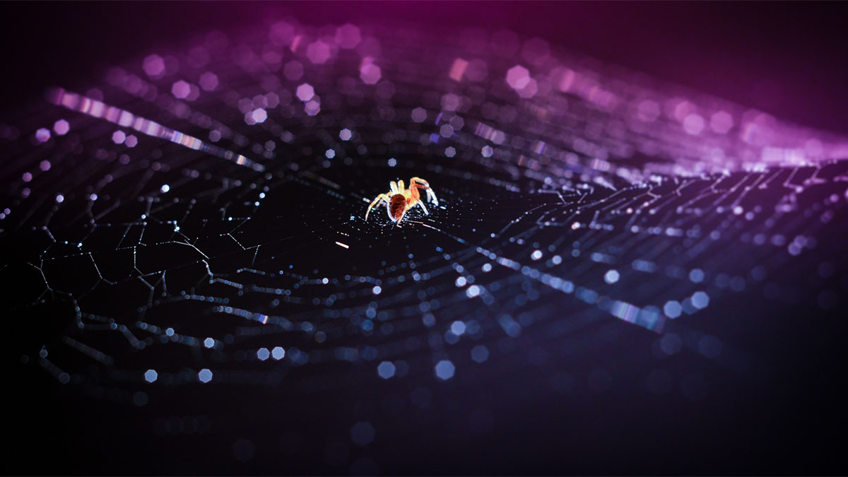 glowing spider in web