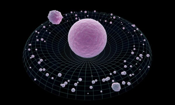 why gravity is the force you think you understand, but actually don’t