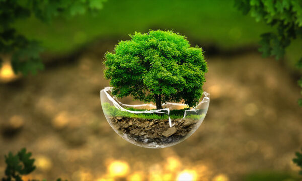 how did green become the new black?