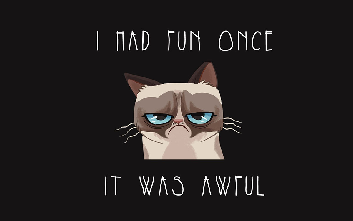 grumpy cat fun