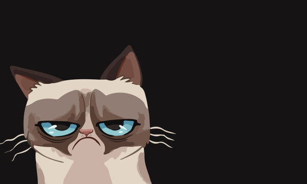 why rating people on the web is one of the worst ideas in tech