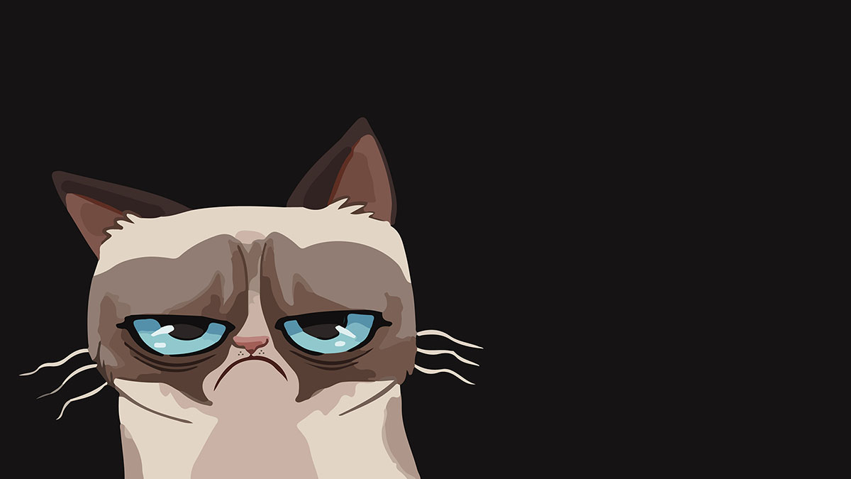 grumpy cat no