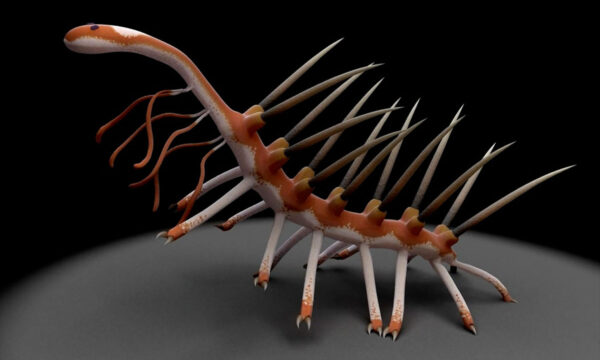 why aliens are more alien than ufologists think