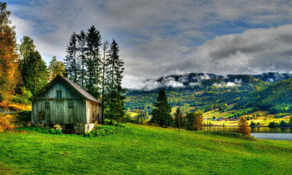 why the silicon holler is such a target for scammers and broken promises