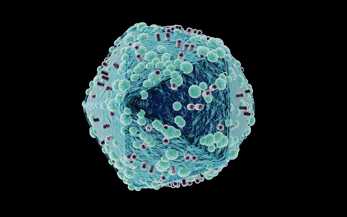 hiv virus model