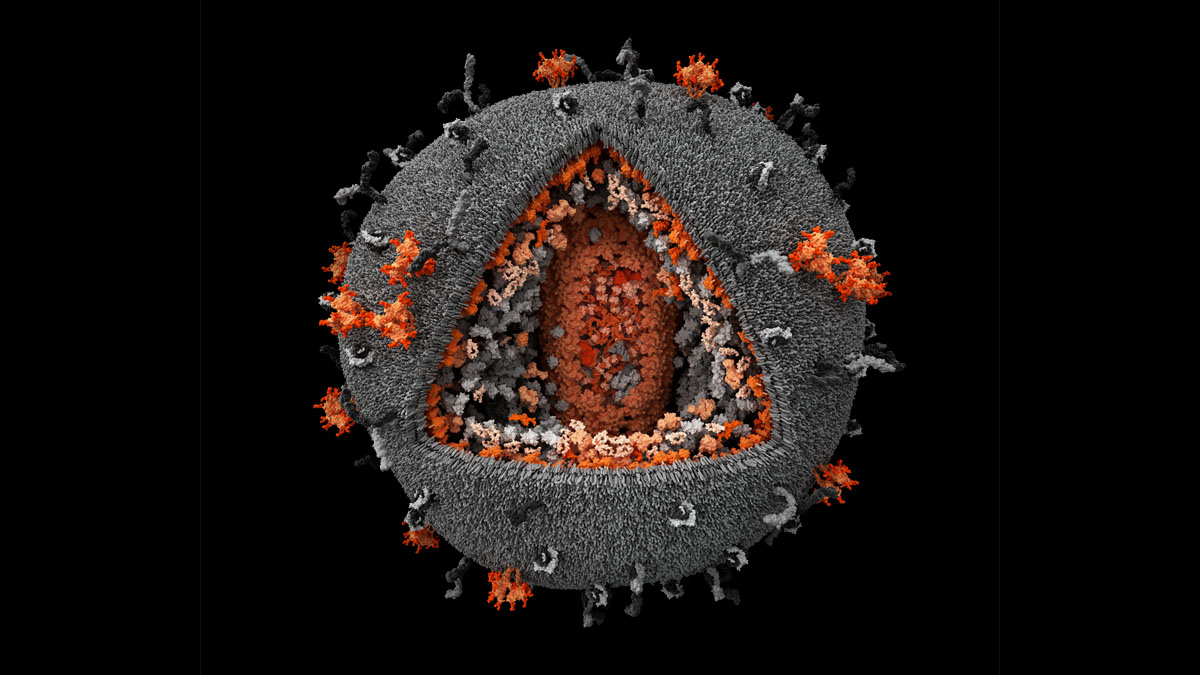 hiv virus render
