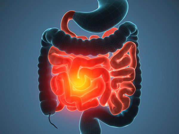 world of weird things podcast: don’t trust your gut on probiotics