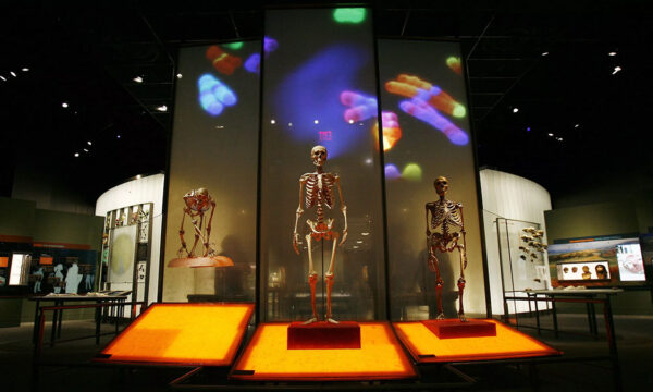 harder, better, faster, stronger?