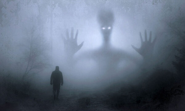 when did opt out become the new opt in?