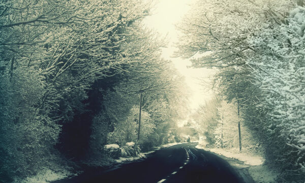 an anecdotal example of denialist logic