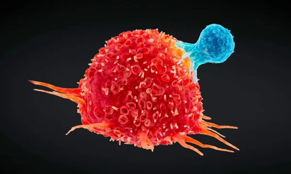 why doctors should always question a.i.