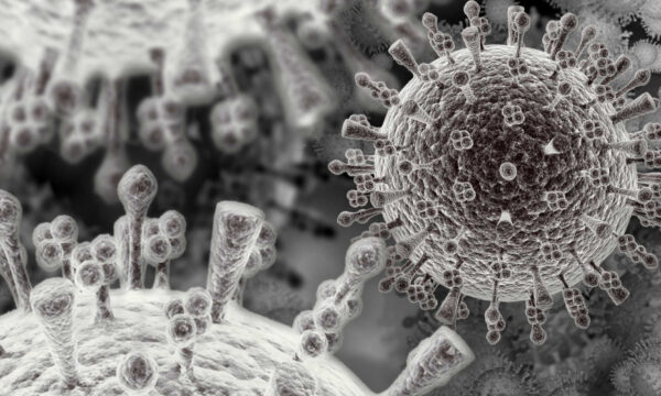 wait a minute, haven’t we seen this movie before?