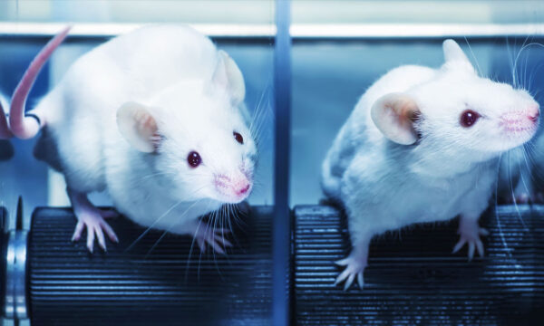 when doing agenda science, threaten to sue your critics