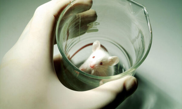 when bad science, mass media, and luddism mix