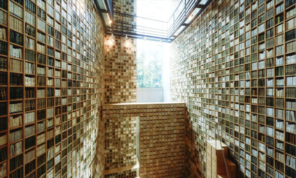 how to battle the tech messiah complex