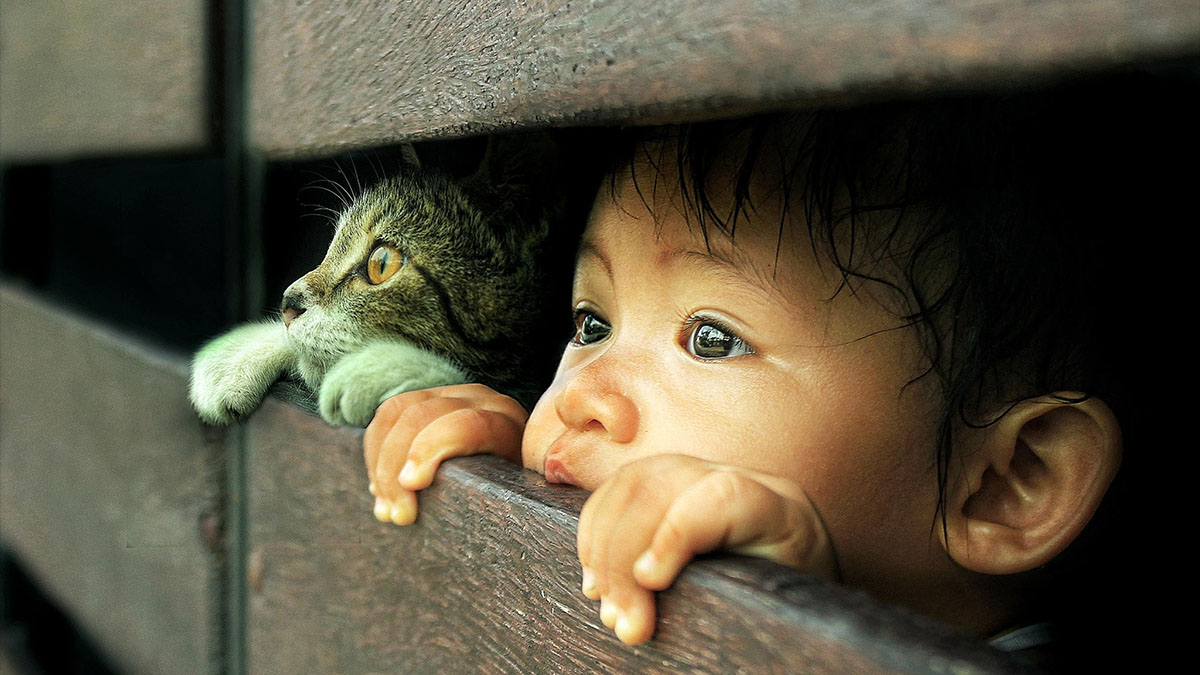 little kid with cat