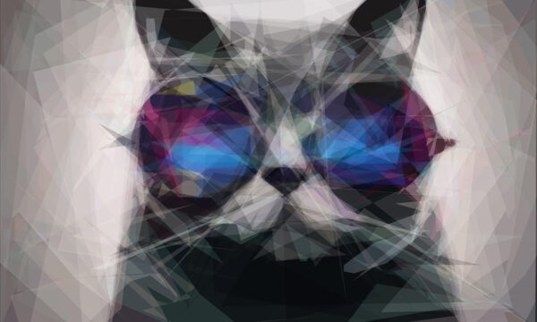 ok, so maybe it’s not exactly the cat’s meow…