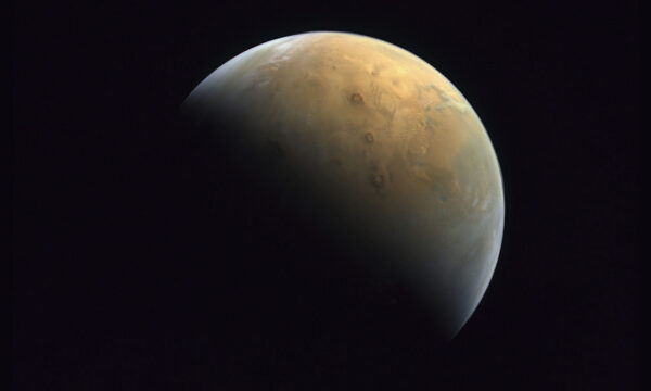 are we really all martians?