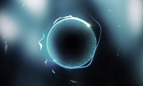 the micro black hole dilemma, revisited